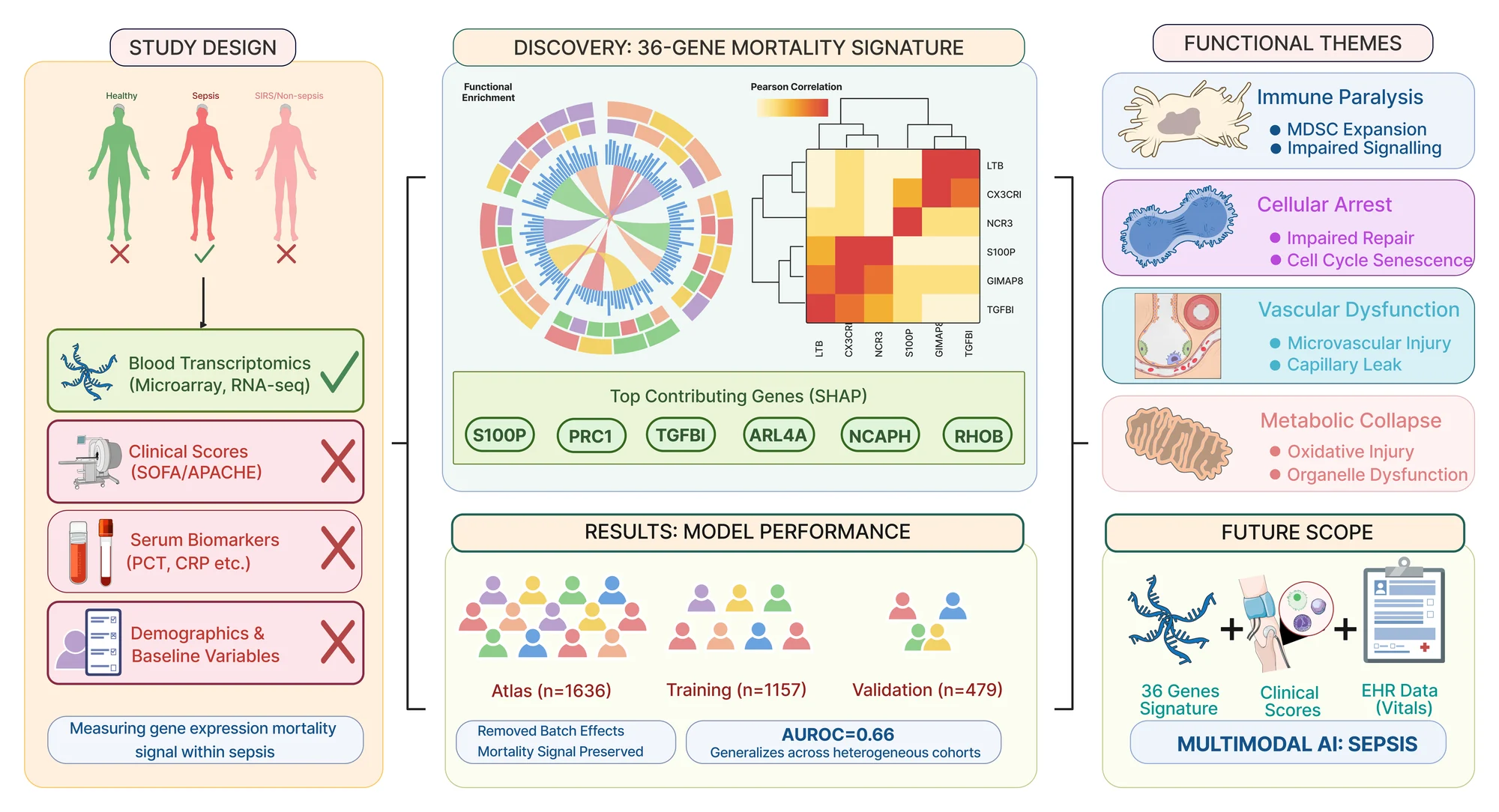 Graphical abstract with panels for study design, the 36-gene mortality signature, model performance, functional themes, and future scope.